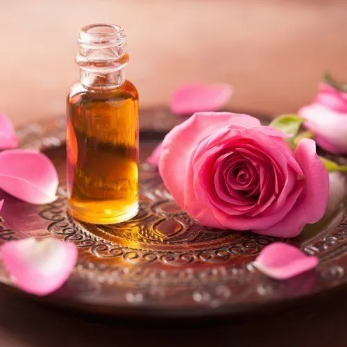 Rose Oil is one of the most important aromatherapy essential oils